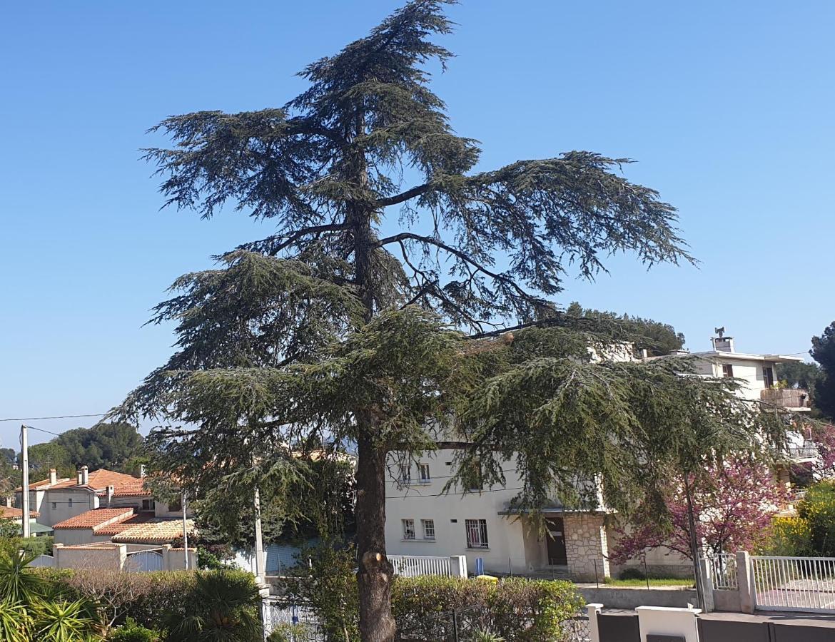 Les Vagues Bleues Apartment La Ciotat Exterior photo